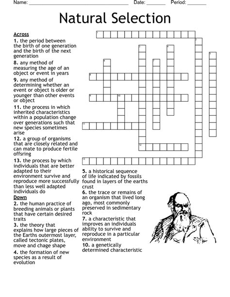 natural selection crossword|natural selection crossword answers.